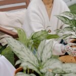 Woman in White Cardigan Holding a potted Plant